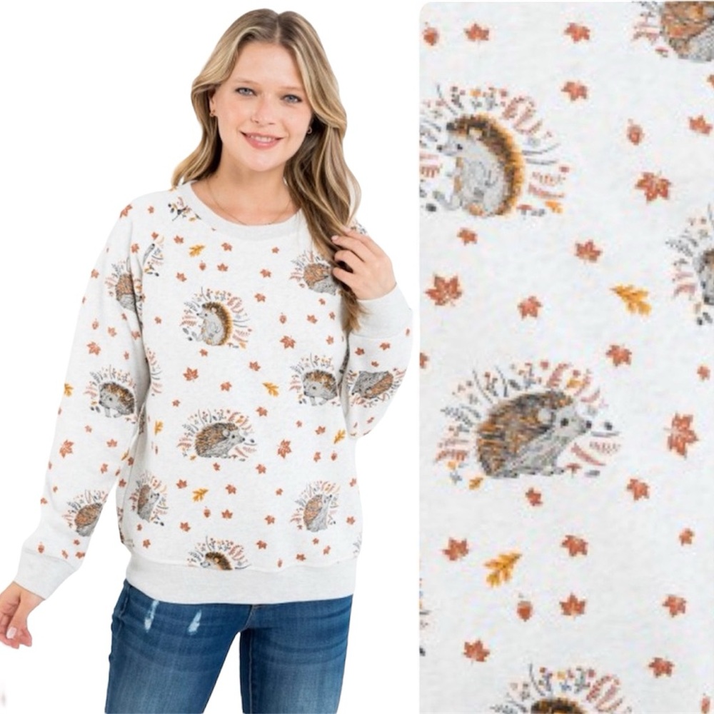 Hedgehog 🦔 Print Sweater Pullover Sweatshirt